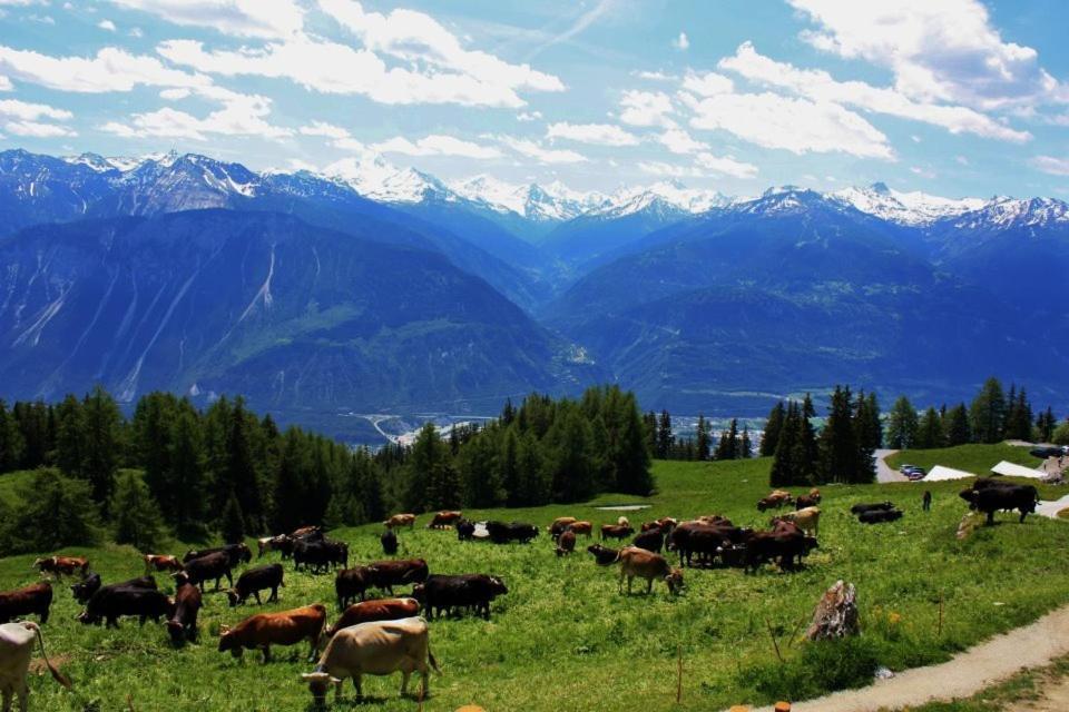 Le Mayen De Colombire Crans-Montana Bagian luar foto