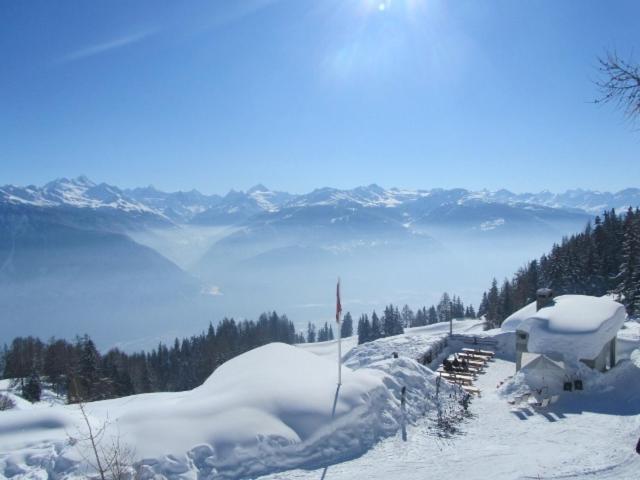 Le Mayen De Colombire Crans-Montana Bagian luar foto