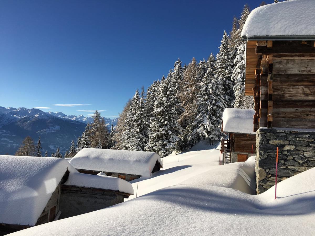 Le Mayen De Colombire Crans-Montana Bagian luar foto